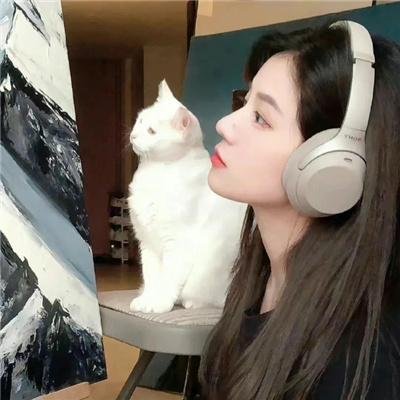 精灵高中：食尸鬼之魂